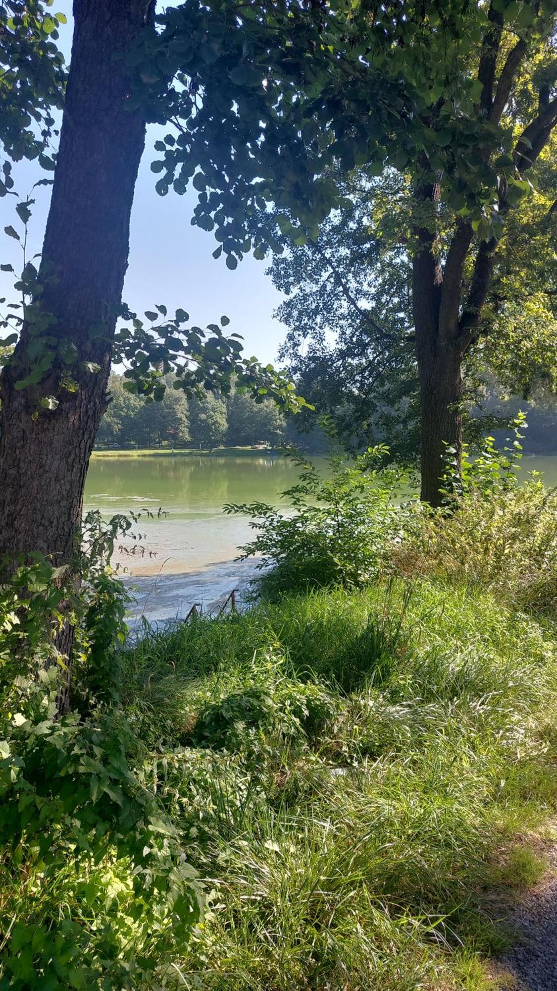 Domki Nad Jeziorem Karlowice Eksteriør bilde